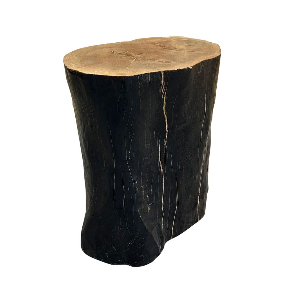 105   PETRIFIED WOOD TRUNK